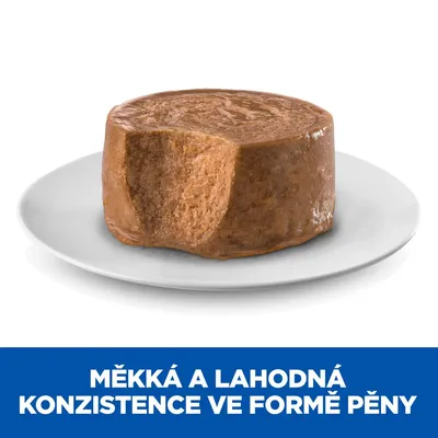 Kousek pěnového krmiva na bílém talíři, pod ním text: MĚKKÁ A LAHODNÁ KONZISTENCE VE FORMĚ PĚNY