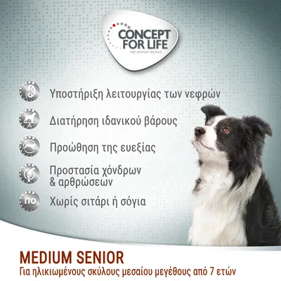 CONCEPT FOR LIFE. Υποστήριξη λειτουργίας των νεφρών, διατήρηση ιδανικού βάρους, προώθηση της ευεξίας, προστασία χόνδρων & αρθρώσεων, χωρίς σιτάρι ή σόγια. MEDIUM SENIOR για ηλικιωμένους σκύλους μεσαίου μεγέθους από 7 ετών. CONCEPT FOR LIFE. Υποστήριξη λειτουργίας των νεφρών, διατήρηση ιδανικού βάρους, προώθηση της ευεξίας, προστασία χόνδρων & αρθρώσεων, χωρίς σιτάρι ή σόγια. MEDIUM SENIOR για ηλικιωμένους σκύλους μεσαίου μεγέθους από 7 ετών.