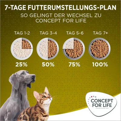 7-Tage-Futterumstellungs-Plan für Concept for Life: Tag 1-2 25%, Tag 3-4 50%, Tag 5-6 75%, Tag 7+ 100%. Konzept für schrittweisen Futterwechsel.