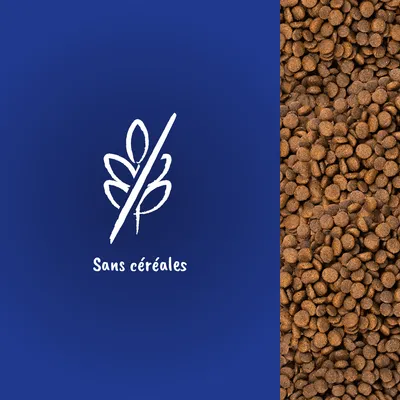 Sans céréales – texte visible avec un épi barré, à côté de croquettes en gros plan.