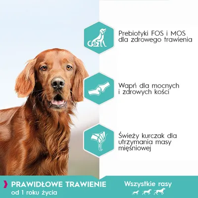Текст на польском: Prebiotyki FOS i MOS dla zdrowego trawienia, Wapń dla mocnych i zdrowych kości, Świeży kurczak dla utrzymania masy mięśniowej, PRAWIDŁOWE TRAWIENIE od 1 roku życia, Wszystkie rasy