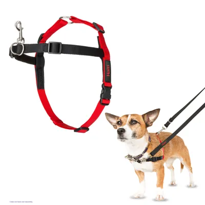 Red and black adjustable harness shown separately and worn by a pet, demonstrating fit and leash attachment. Collar and lead sold separately.