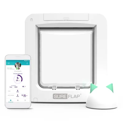Smart pet door with mobile app showing activity tracking and a white device with green accents, displaying time spent outside and entry statistics.