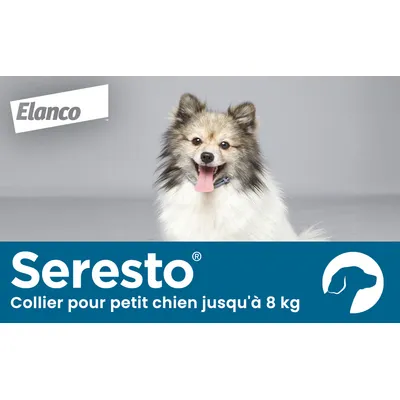 Collier antiparasitaire Seresto® pour chien