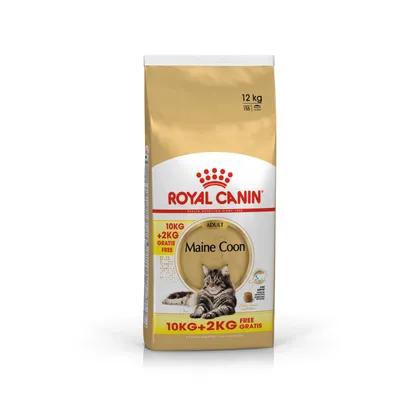 Royal Canin Maine Coon Adult 12 kg, 10 kg + 2 kg gratis száraz macskaeledel csomagolás, cicával a tasakon