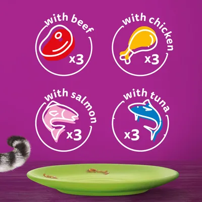 with beef x3, with chicken x3, with salmon x3, with tuna x3 shown on purple background with icons of each meat or fish