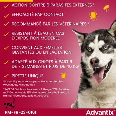 Advantix : action contre 6 parasites externes, efficacité par contact, recommandé par les vétérinaires, résistant à l’eau, adapté aux chiots dès 7 semaines et plus de 40 kg, pipette unique.