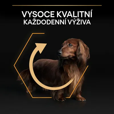 Text v češtine: VYSOCE KVALITNÍ KAŽDODENNÍ VÝŽIVA. Ilustrácia jazvečíka s grafickým prvkom šípky.