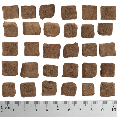 Kwadratowe, brązowe kawałki karmy lub przysmaków ułożone w rzędach; na dole linijka z podziałką centymetrową od 0 do 10 cm pokazująca rozmiar produktu.