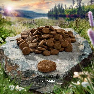 Croquettes rondes brunes sur une pierre avec indication de taille 13-15 mm. Arrière-plan montrant un paysage naturel avec lac et forêt.