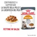 Royal Canin Hair & Skin Care umido in Salsa per gatti