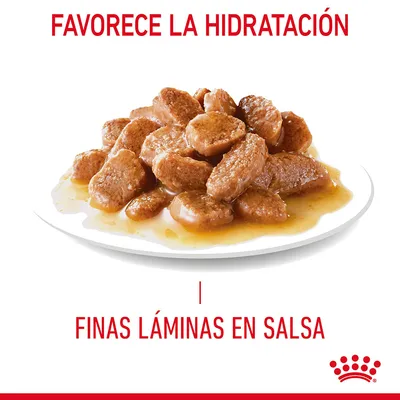 FAVORECE LA HIDRATACIÓN. FINAS LÁMINAS EN SALSA. Imagen de láminas de alimento húmedo en salsa sobre un plato, marca Royal Canin visible en la parte inferior.
