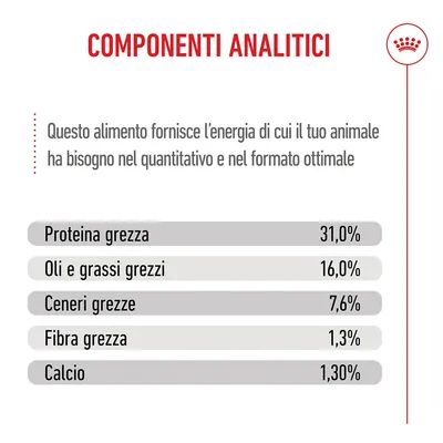 Royal Canin Giant Junior Crocchette per cane