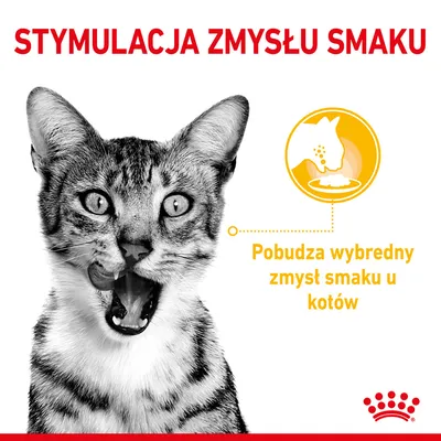 STYMULACJA ZMYSŁU SMAKU. Pobudza wybredny zmysł smaku u kotów. Obraz kota oraz grafika z miską i sylwetką kota. Widoczne logo Royal Canin.