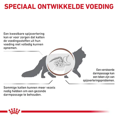 Speciaal ontwikkelde voeding. Een kwetsbare spijsvertering kan opname van voedingsstoffen bij katten beperken. Sommige katten hebben meer vezels nodig voor gezonde darmpassage.