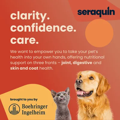 Seraquin Joint Tablets for Dogs 2g