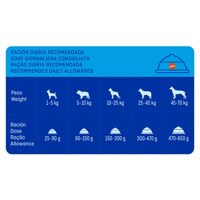 Tableau des rations journalières recommandées pour chiens : 1–5 kg 25–90 g, 5–10 kg 90–150 g, 10–25 kg 150–300 g, 25–45 kg 300–470 g, 45–70 kg 470–650 g.