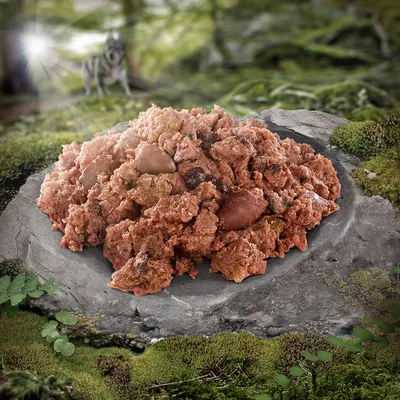 Nahaufnahme von rohem Fleisch auf einem Stein in einer Waldumgebung, mit einem Wolf im Hintergrund.