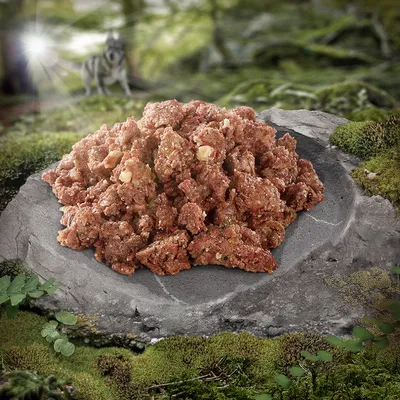 Dog food with meaty texture on a stone, surrounded by forest landscape. Wolf visible in the background.