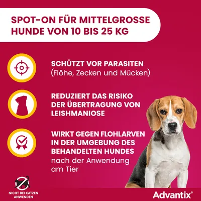 Advantix Spot-On für mittelgroße Hunde von 10 bis 25 kg. Schützt vor Parasiten (Flöhe, Zecken, Mücken), reduziert Risiko der Leishmaniose-Übertragung, wirkt gegen Flohlarven. Nicht bei Katzen anwenden.