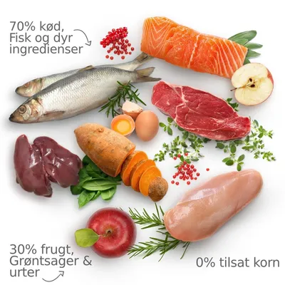 Billede med rå ingredienser: fisk, kylling, oksekød, lever, æg, laks, sød kartoffel, spinat, æble og urter. Tekst: 70 % kød, fisk og dyr ingredienser, 30 % frugt, grøntsager & urter, 0 % tilsat korn.