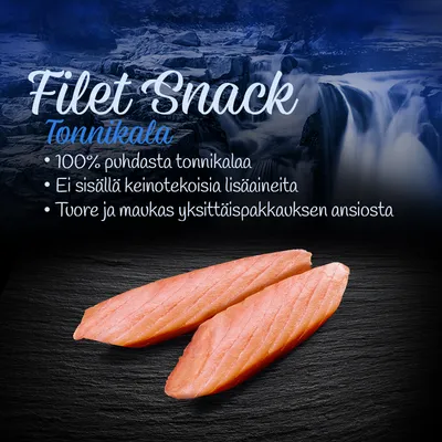 Filet Snack Tonnikala: 100 % puhdasta tonnikalaa, ei sisällä keinotekoisia lisäaineita, tuore ja maukas yksittäispakkauksen ansiosta. Kuvassa kaksi tonnikalafilettä.