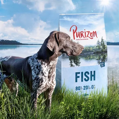 Cane davanti a confezione di Purizon Fish, testo visibile: 'Purizon', 'FISH', '80% 20% 0%', paesaggio naturale sullo sfondo della confezione.