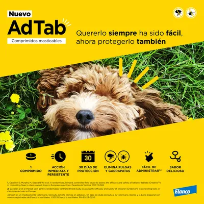 AdTab Comprimidos masticables. 1 comprimido, acción inmediata y persistente, 30 días de protección, elimina pulgas y garrapatas, fácil de administrar, sabor delicioso. Elanco.