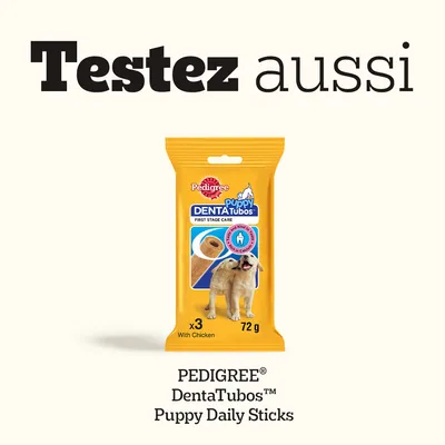 PEDIGREE DentaTubos Puppy Daily Sticks, x3, 72 g, With Chicken. Texte visible : Testez aussi. Emballage jaune avec chiots et illustration du produit.