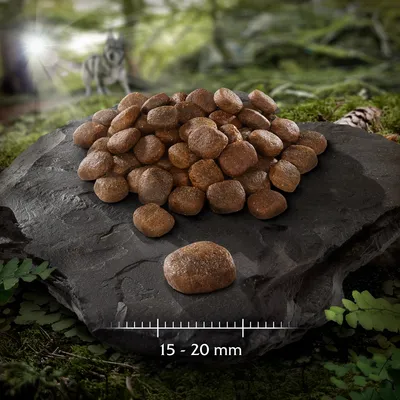 Croquettes pour chien posées sur une pierre, avec indication de taille : 15–20 mm.