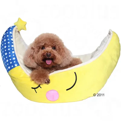 Mały pies leży w pluszowym legowisku w kształcie żółtego księżyca z niebieskim końcem w białe gwiazdki i żółtą gwiazdką na czubku. Widoczna twarz księżyca z zamkniętym okiem.