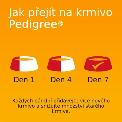 Pedigree kapsičky 40 ks (40 x 100 g)