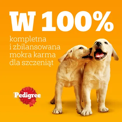 Pedigree Junior Saszetki w galarecie