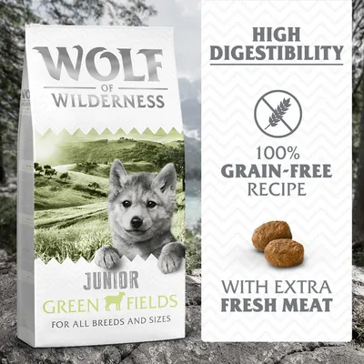 Wolf of Wilderness Junior Green Fields jahňacie - bez obilnín