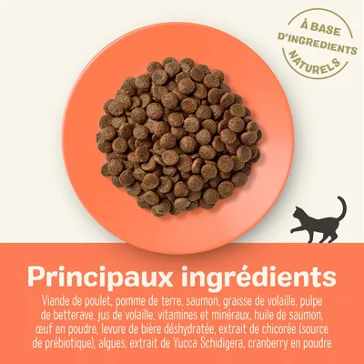 Principaux ingrédients : viande de poulet, pomme de terre, saumon, graisse de volaille, pulpe de betterave, vitamines et minéraux, extrait de chicorée, algues, cranberry en poudre. À base d’ingrédients naturels.