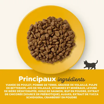 Principaux ingrédients : viande de poulet, pomme de terre, graisse de volaille, pulpe de betterave, jus de volaille, vitamines et minéraux, levure de bière déshydratée, huile de saumon, œuf en poudre.