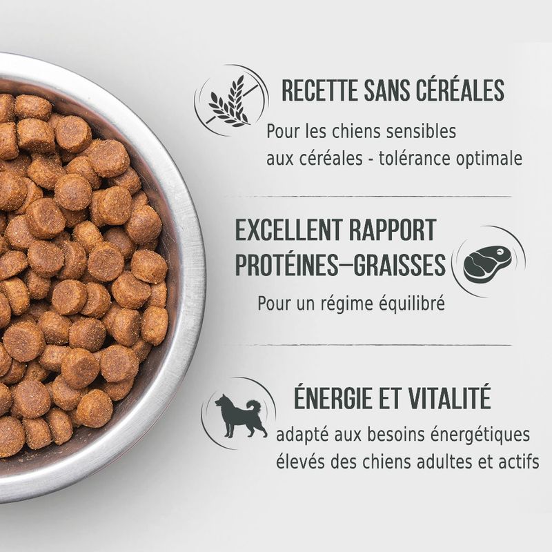 Briantos Adult Mobility poulet, pommes de terre - SANS CÉRÉALES pour chien