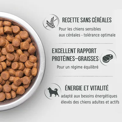 Recette sans céréales, excellent rapport protéines–graisses, énergie et vitalité, adapté aux besoins énergétiques élevés des chiens adultes et actifs. Texte en français.