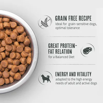 Dry food in bowl. Features: grain-free recipe, optimal protein-fat ratio for balanced nutrition, energy and vitality for active adult dogs.
