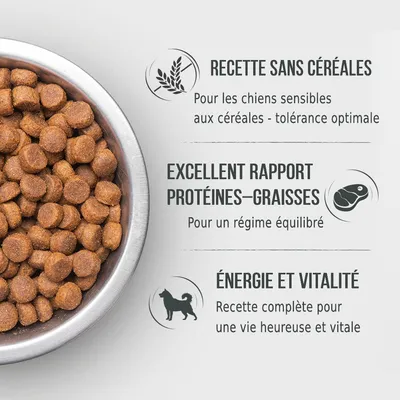 Recette sans céréales pour chiens sensibles, excellent rapport protéines–graisses pour un régime équilibré, énergie et vitalité, recette complète pour une vie heureuse et vitale.