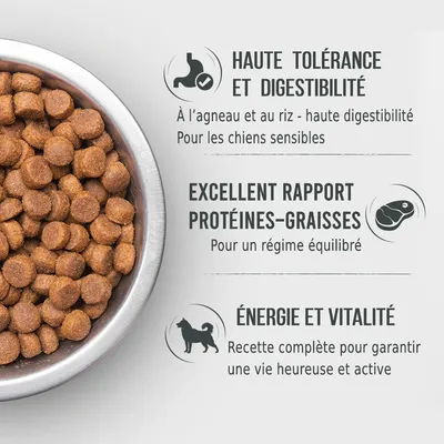 Haute tolérance et digestibilité à l’agneau et au riz, excellent rapport protéines-graisses, énergie et vitalité. Recette complète pour chiens sensibles, régime équilibré.