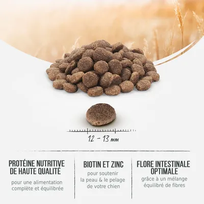 Croquettes rondes, diamètre 12–13 mm. Texte visible : Protéine nutritive de haute qualité, Biotin et zinc pour la peau et le pelage, Flore intestinale optimale grâce aux fibres.