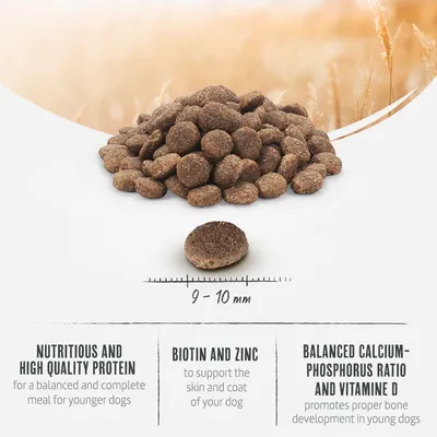 Trockenfutterstückchen mit Grösse 9-10 mm. Enthält hochwertiges Protein, Biotin und Zink für Haut und Fell sowie ausgewogenes Calcium-Phosphor-Verhältnis und Vitamin D für Knochenentwicklung.