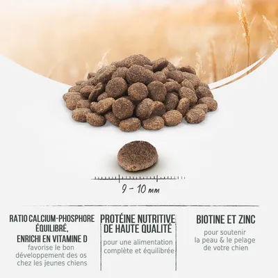 Croquettes rondes, diamètre 9–10 mm. Ratio calcium-phosphore équilibré, enrichi en vitamine D, protéine nutritive de haute qualité, biotine et zinc visibles sur l’image.