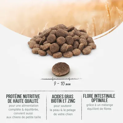 Croquettes rondes, diamètre 9–10 mm. Texte visible : Protéine nutritive de haute qualité, acides gras biotine et zinc, flore intestinale optimale. Informations sur bienfaits nutritionnels.