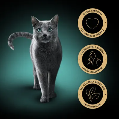 W 100% kompletne i zbilansowane żywienie, z naturalnymi i wysokiej jakości składnikami, bez sztucznych barwników i konserwantów – tekst na trzech okrągłych znakach obok kota.
