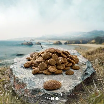 Purizon Senior Chicken & Fish - Grainfree