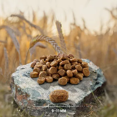 Nahaufnahme von braunen Trockenfutterstücken auf einem Stein, mit Grössenangabe 9-11 mm im Vordergrund.