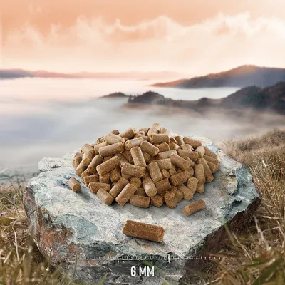 Hundefutter in Pelletform, Durchmesser 6 mm, auf einem Stein präsentiert vor einer Landschaft mit Bergen und Nebel.