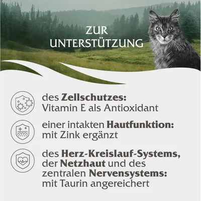 Wild Freedom Adult 6 x 200 g - getreidefreie Rezeptur